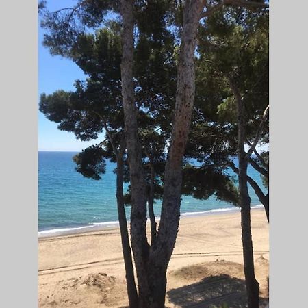 Bel Appartement Face A La Mer Miami Playa Ngoại thất bức ảnh